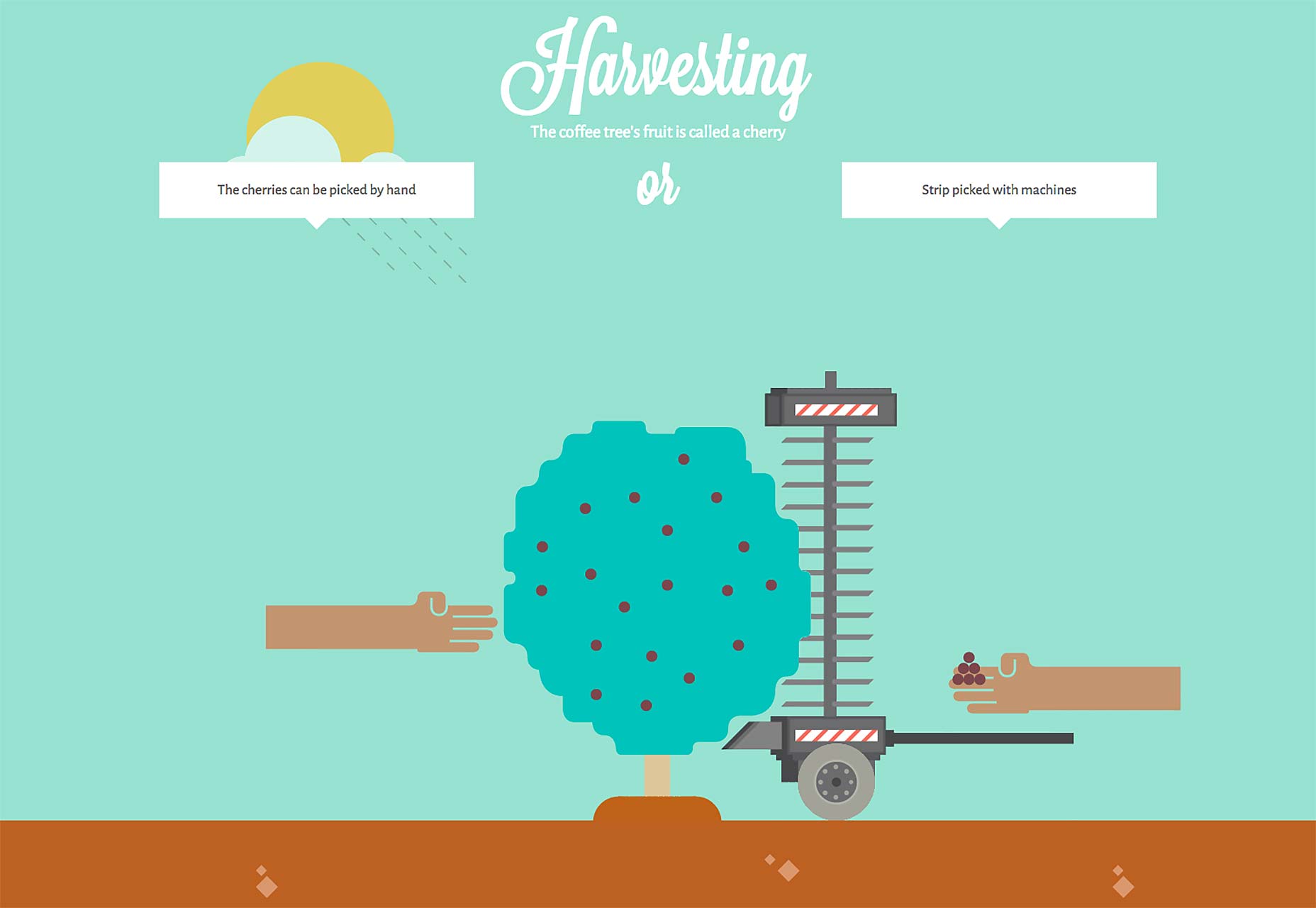 coffee hiệu ứng ứng dụng website