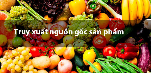 truy-xuat-nguon-goc-san-pham-1