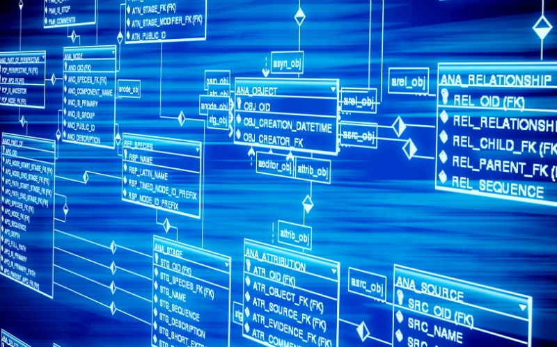 Database là gì? Tìm hiểu cơ bản về cơ sở dữ liệu database