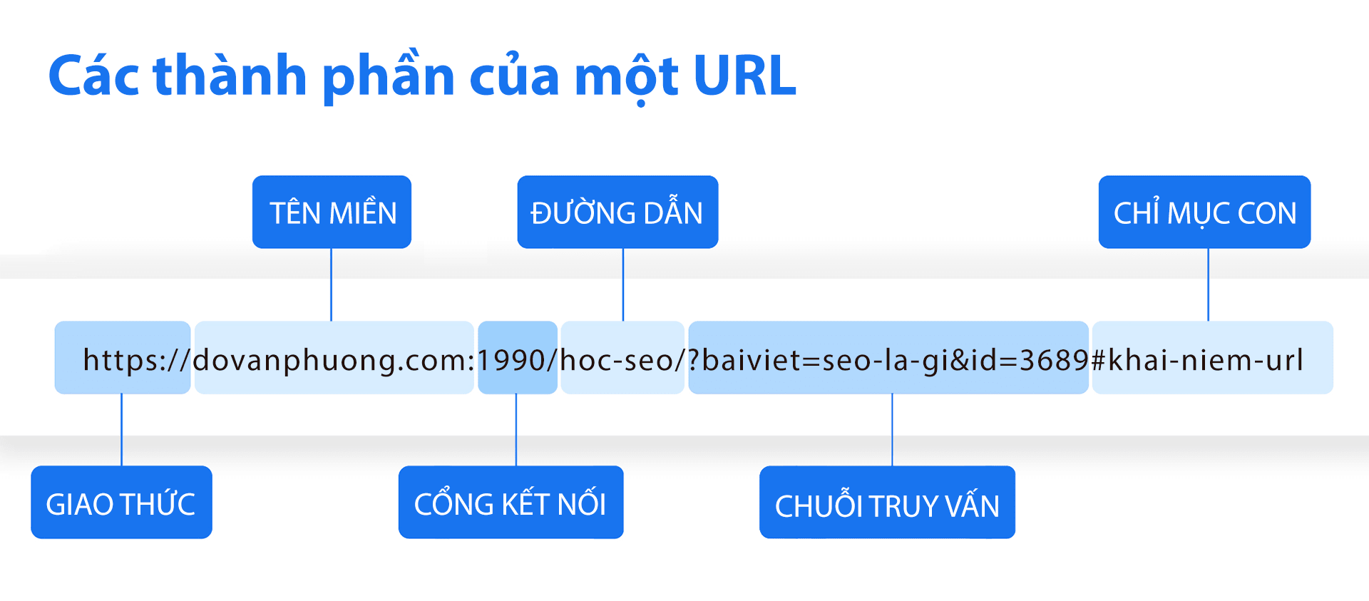 URL là gì? Cấu trúc URL chuẩn SEO - Đỗ Văn Phương