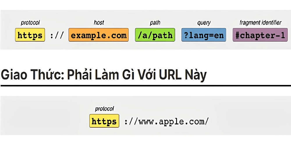 cấu trúc của một đường dẫn liên kết website